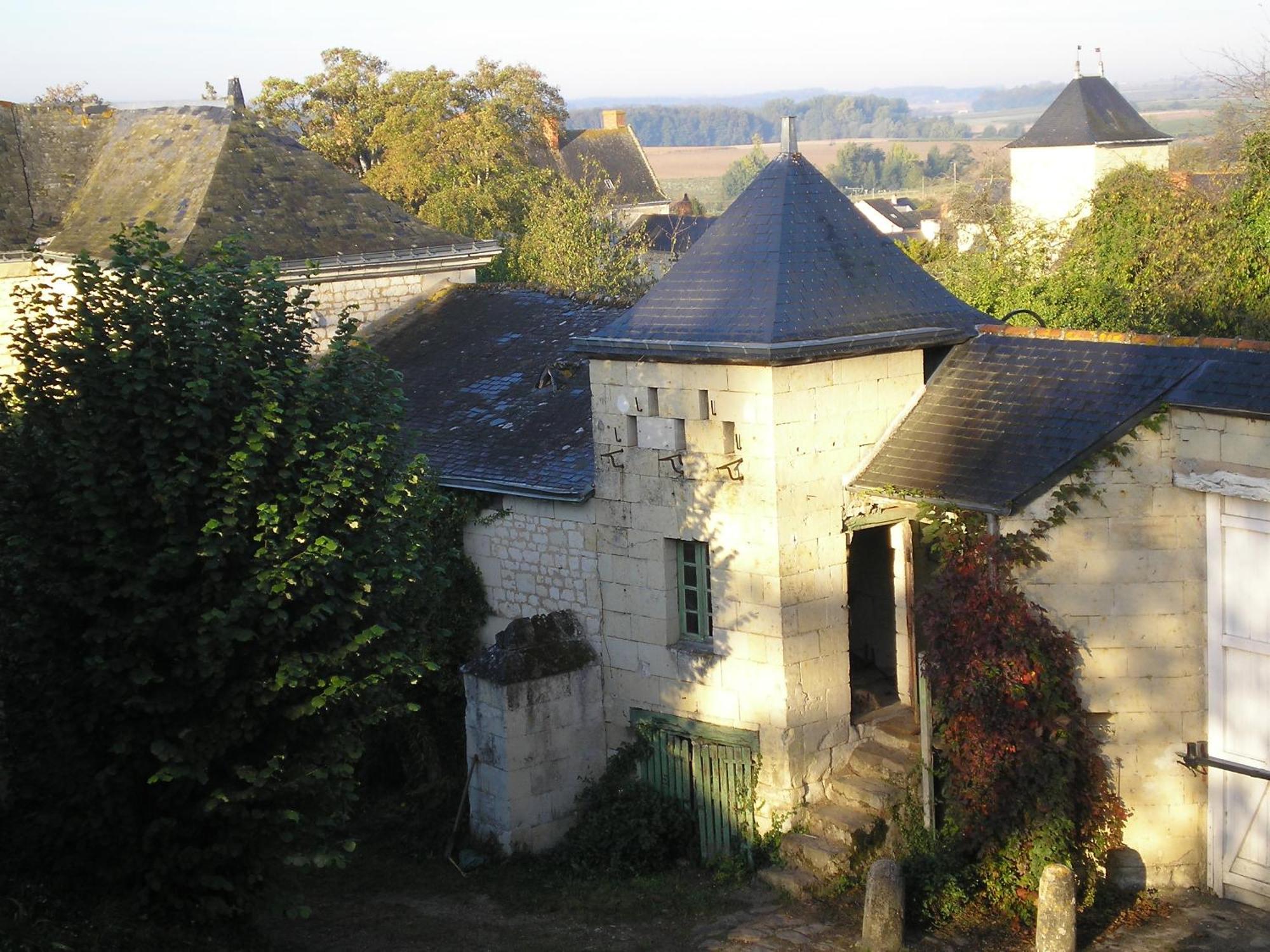 Manoir De Boisairault Bed & Breakfast Le Coudray-Macouard Exterior foto