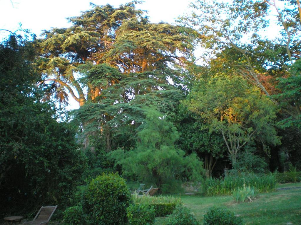 Manoir De Boisairault Bed & Breakfast Le Coudray-Macouard Exterior foto