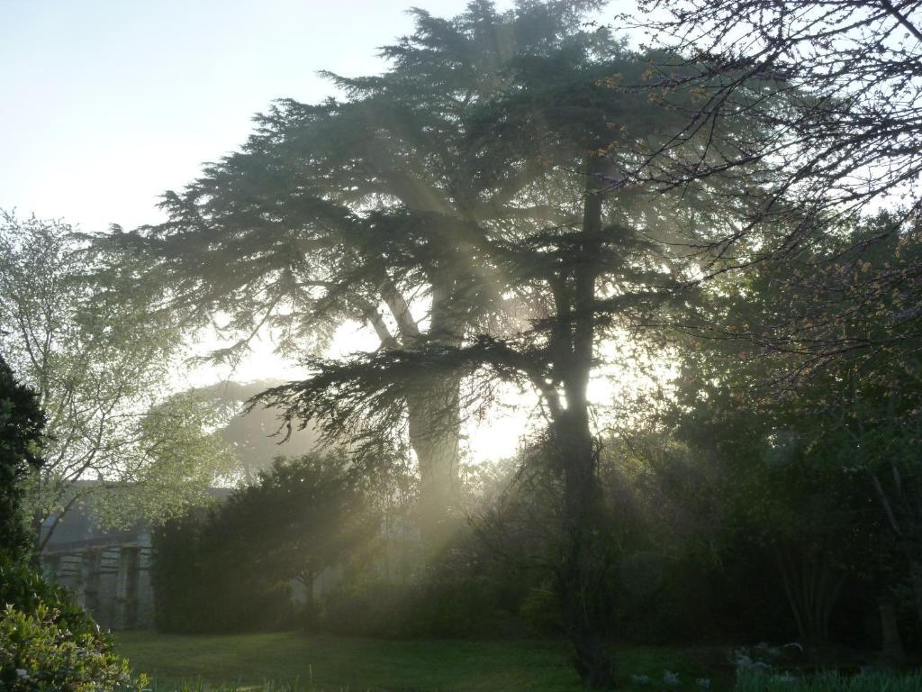 Manoir De Boisairault Bed & Breakfast Le Coudray-Macouard Exterior foto