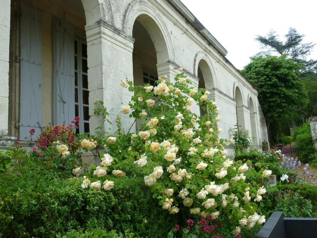 Manoir De Boisairault Bed & Breakfast Le Coudray-Macouard Exterior foto