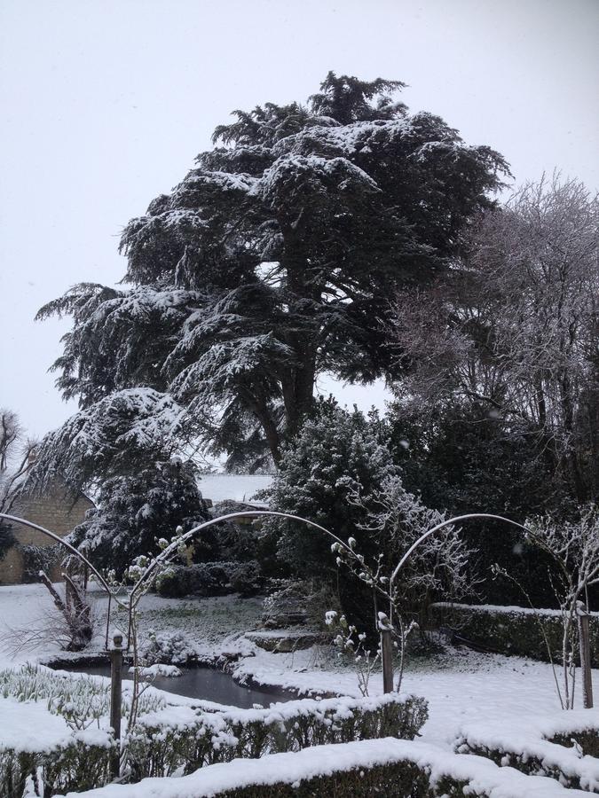 Manoir De Boisairault Bed & Breakfast Le Coudray-Macouard Exterior foto