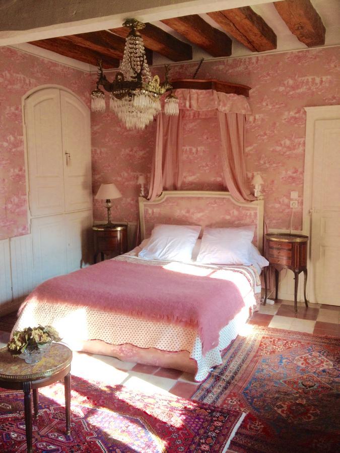 Manoir De Boisairault Bed & Breakfast Le Coudray-Macouard Exterior foto