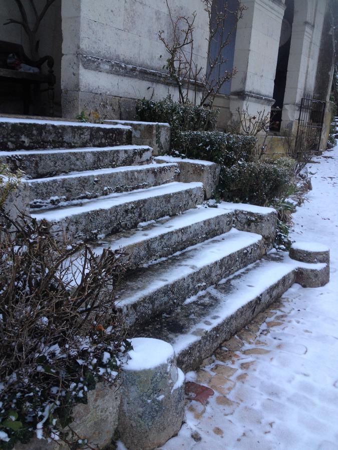 Manoir De Boisairault Bed & Breakfast Le Coudray-Macouard Exterior foto